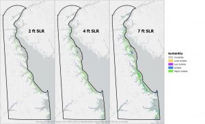 A new DNREC a mapping study models and predicts the most suitable areas for Delaware’s tidal wetlands to migrate as the state experiences sea level rise as an impact of climate change. Marsh migration is the movement of tidal wetlands from their current habitat, away from rising sea levels toward higher and drier ground, to avoid being drowned.