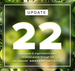 Square graphic, blurred green background. Text centered in the middle of the graphic says Update - 22 businesses & organizations have received grants through the Delaware Grocery Initiative.